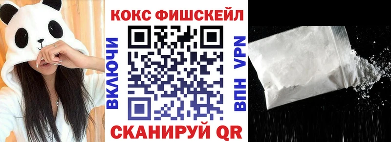 COCAIN Fish Scale Зубцов