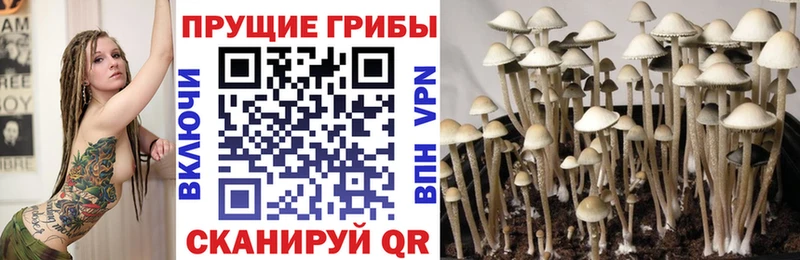 Галлюциногенные грибы ЛСД  Зубцов 